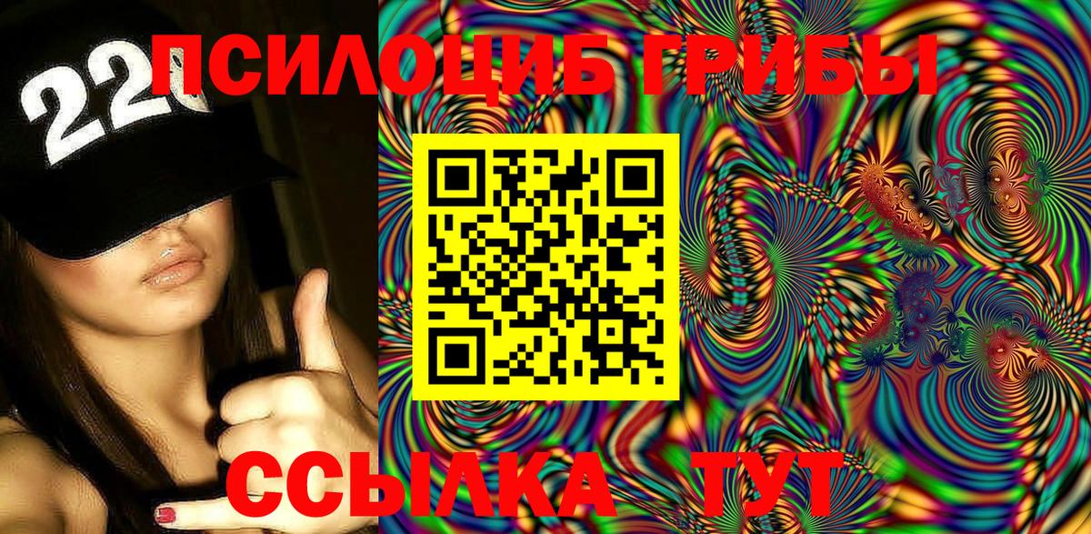 Псилоцибиновые грибы Psilocybine cubensis Муром