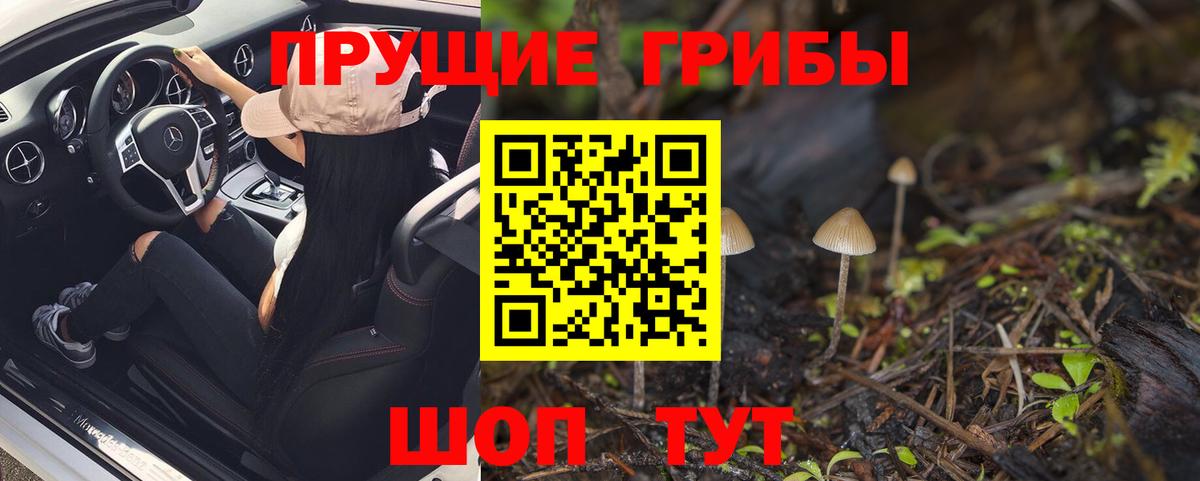 Муром  Галлюциногенные грибы Psilocybine cubensis  Вход с VPN 